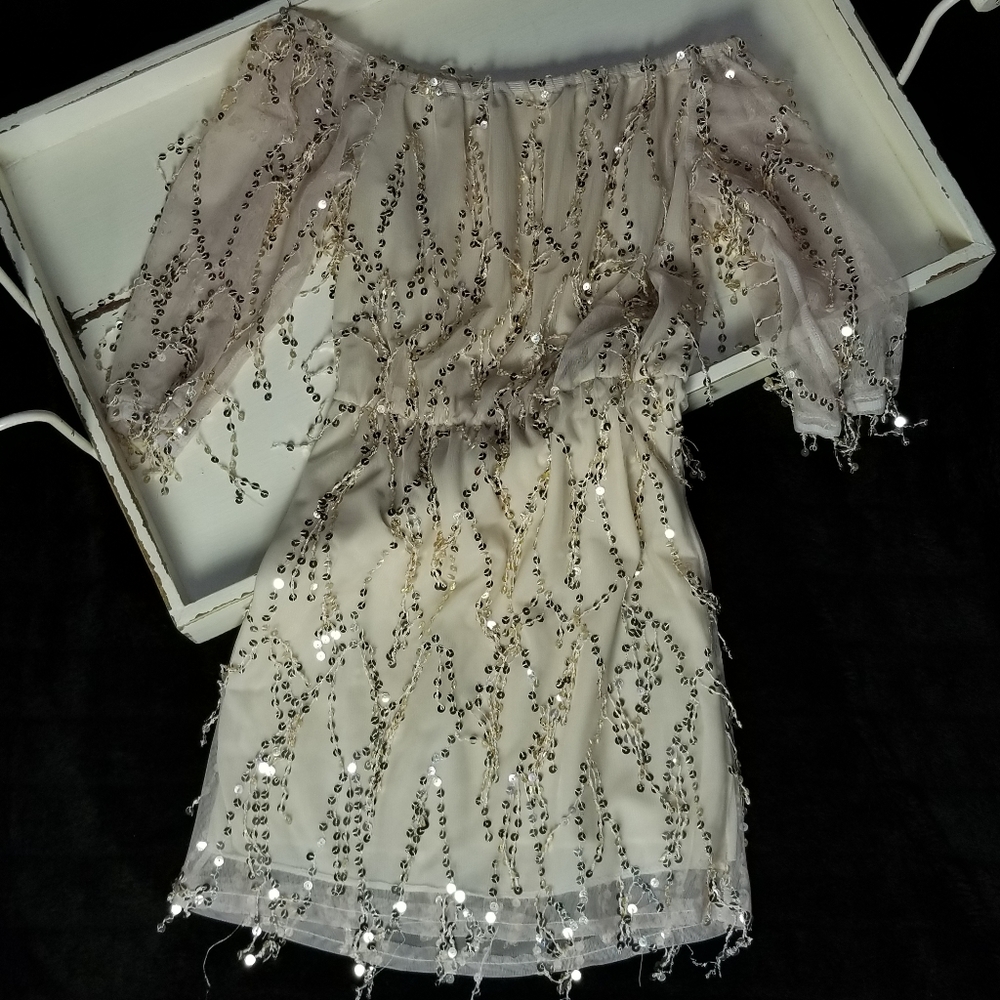 Sequin Dress. - Picture 2 of 3